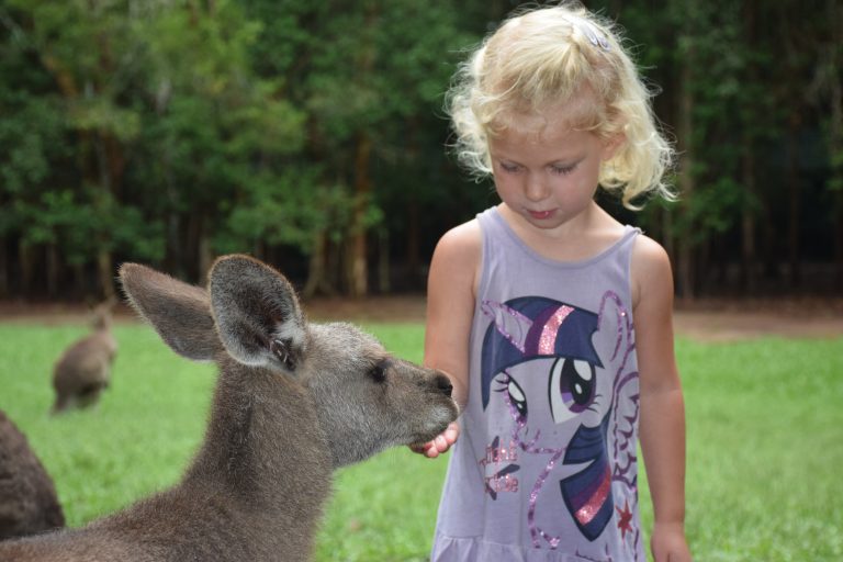 5 stop mellem Brisbane og Cairns